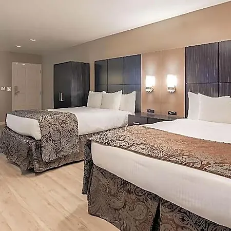 Hotel The D 4*